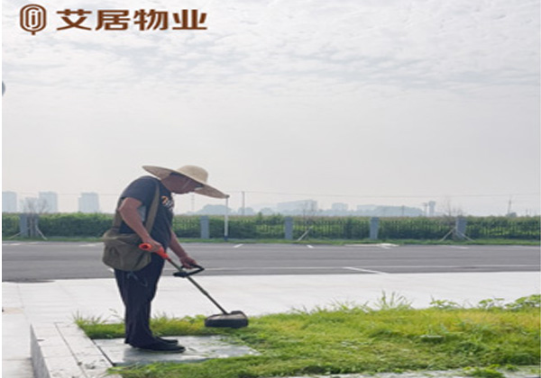 服務案例