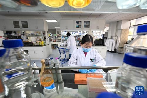 我在崗位上迎新年 企業(yè)技術咨詢服務的堅守與展望